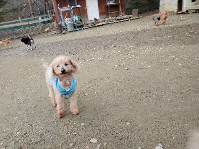 f:id:roukenhome-ann:20200104073525j:plain f:id:roukenhome-ann:20200104073525j:plain