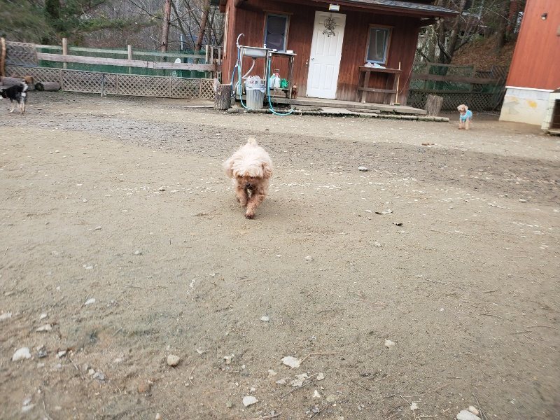 f:id:roukenhome-ann:20200104074031j:plain f:id:roukenhome-ann:20200104074031j:plain