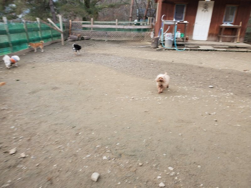 f:id:roukenhome-ann:20200104074037j:plain f:id:roukenhome-ann:20200104074037j:plain