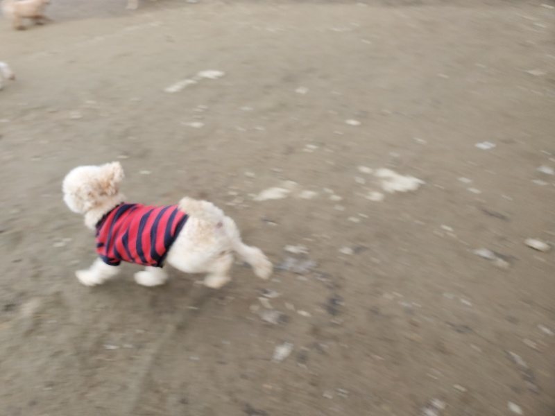 f:id:roukenhome-ann:20200104074116j:plain f:id:roukenhome-ann:20200104074116j:plain
