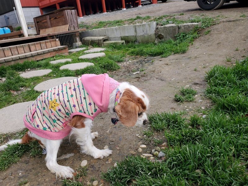 f:id:roukenhome-ann:20200104074526j:plain f:id:roukenhome-ann:20200104074526j:plain