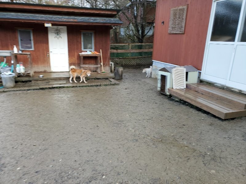 f:id:roukenhome-ann:20200105135450j:plain f:id:roukenhome-ann:20200105135450j:plain
