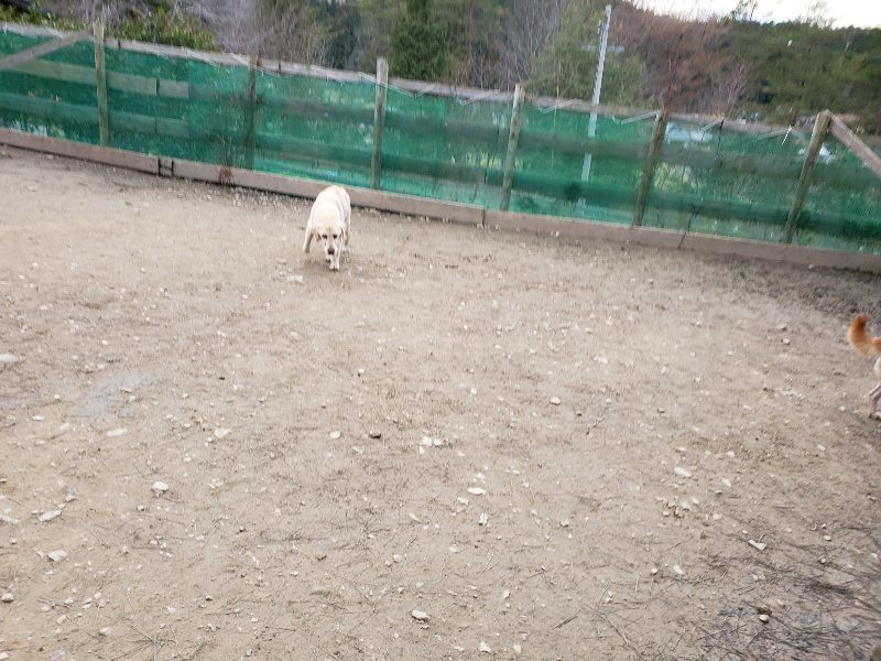 f:id:roukenhome-ann:20200107132803j:plain f:id:roukenhome-ann:20200107132803j:plain