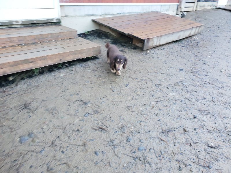 f:id:roukenhome-ann:20200111051202j:plain f:id:roukenhome-ann:20200111051202j:plain