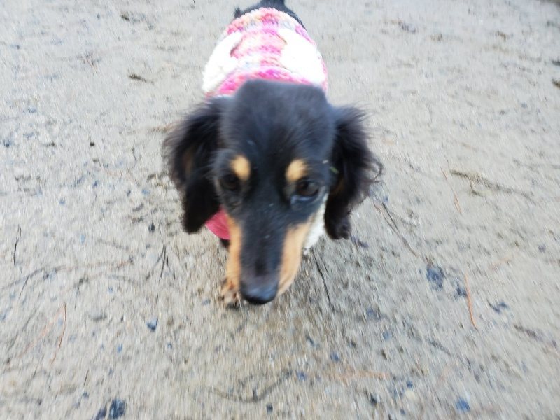 f:id:roukenhome-ann:20200111052049j:plain f:id:roukenhome-ann:20200111052049j:plain