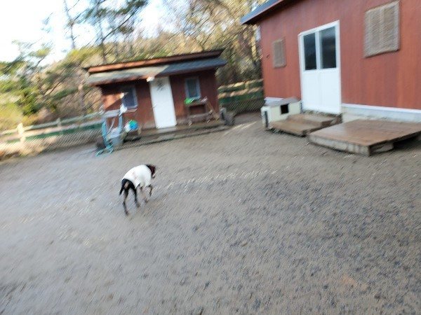 f:id:roukenhome-ann:20200111052501j:plain f:id:roukenhome-ann:20200111052501j:plain