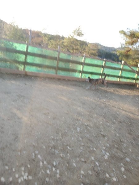 f:id:roukenhome-ann:20200111212320j:plain f:id:roukenhome-ann:20200111212320j:plain