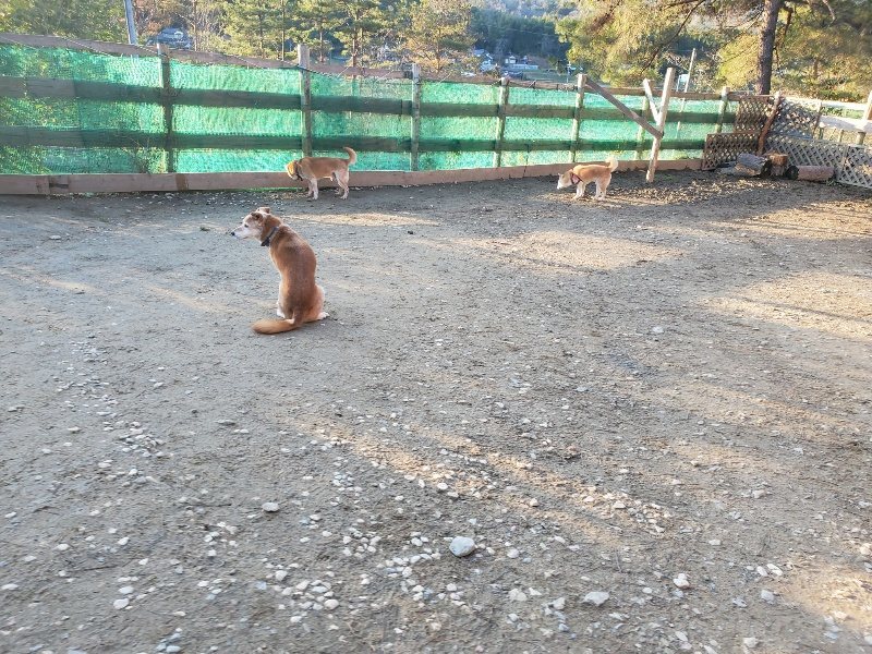 f:id:roukenhome-ann:20200111214027j:plain f:id:roukenhome-ann:20200111214027j:plain