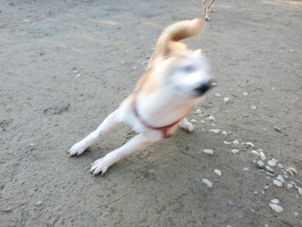 f:id:roukenhome-ann:20200111220344j:plain f:id:roukenhome-ann:20200111220344j:plain