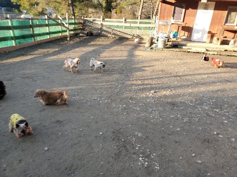 f:id:roukenhome-ann:20200112044518j:plain f:id:roukenhome-ann:20200112044518j:plain