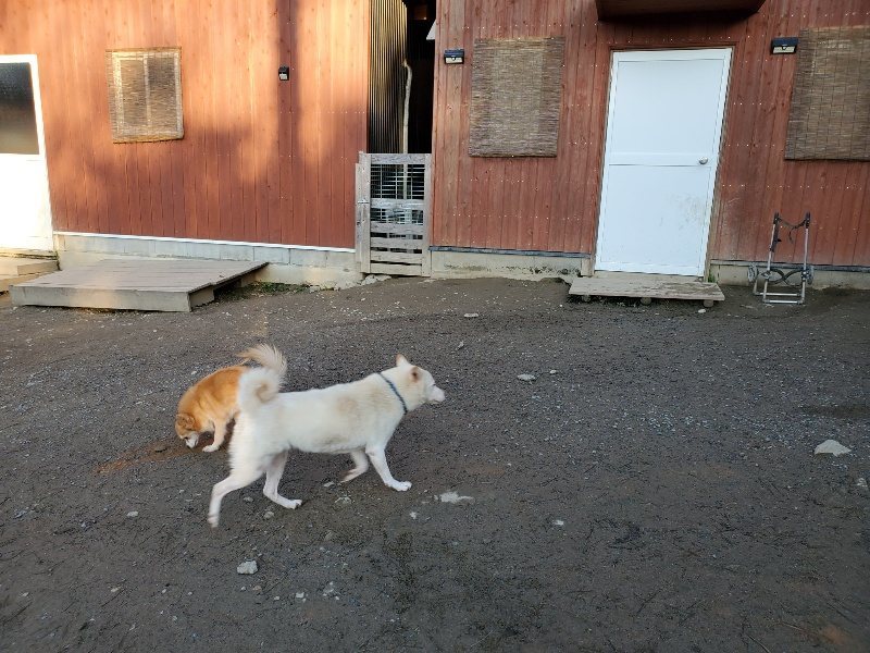 f:id:roukenhome-ann:20200112044620j:plain f:id:roukenhome-ann:20200112044620j:plain