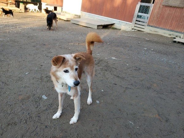 f:id:roukenhome-ann:20200112044720j:plain f:id:roukenhome-ann:20200112044720j:plain