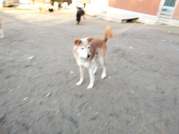f:id:roukenhome-ann:20200112044724j:plain f:id:roukenhome-ann:20200112044724j:plain