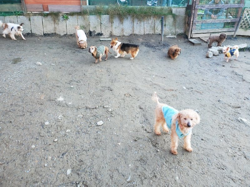 f:id:roukenhome-ann:20200112044840j:plain f:id:roukenhome-ann:20200112044840j:plain