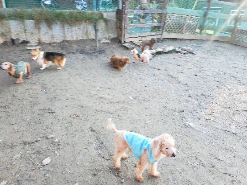 f:id:roukenhome-ann:20200112044846j:plain f:id:roukenhome-ann:20200112044846j:plain