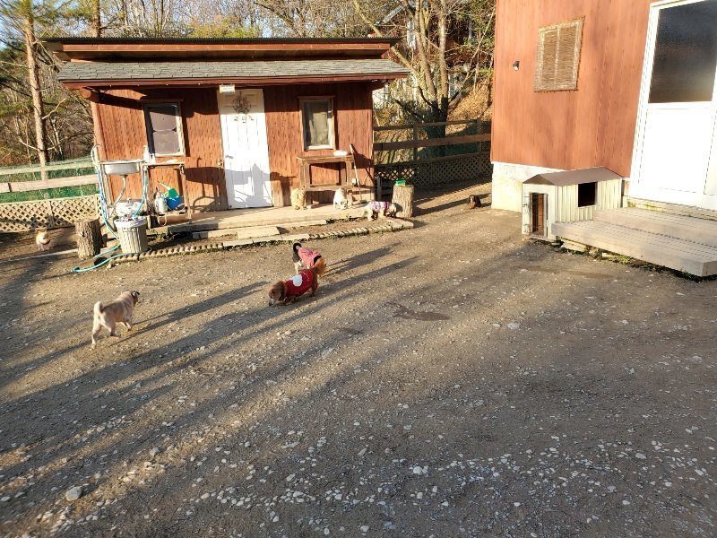 f:id:roukenhome-ann:20200112044901j:plain f:id:roukenhome-ann:20200112044901j:plain