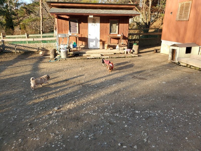 f:id:roukenhome-ann:20200112044907j:plain f:id:roukenhome-ann:20200112044907j:plain