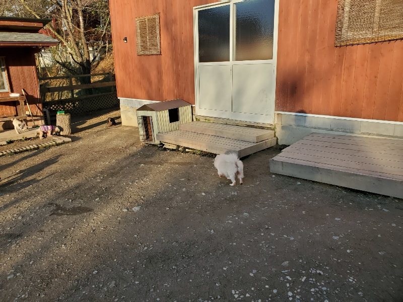 f:id:roukenhome-ann:20200112044917j:plain f:id:roukenhome-ann:20200112044917j:plain