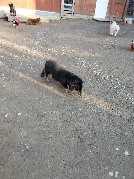 f:id:roukenhome-ann:20200112044958j:plain f:id:roukenhome-ann:20200112044958j:plain