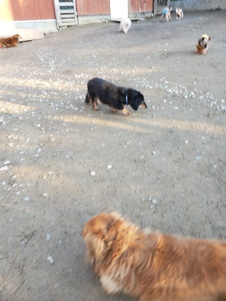 f:id:roukenhome-ann:20200112045007j:plain f:id:roukenhome-ann:20200112045007j:plain