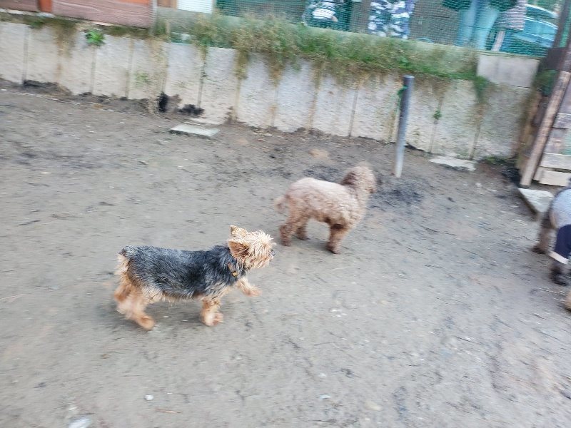 f:id:roukenhome-ann:20200112045212j:plain f:id:roukenhome-ann:20200112045212j:plain