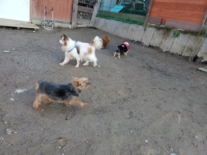 f:id:roukenhome-ann:20200112045219j:plain f:id:roukenhome-ann:20200112045219j:plain