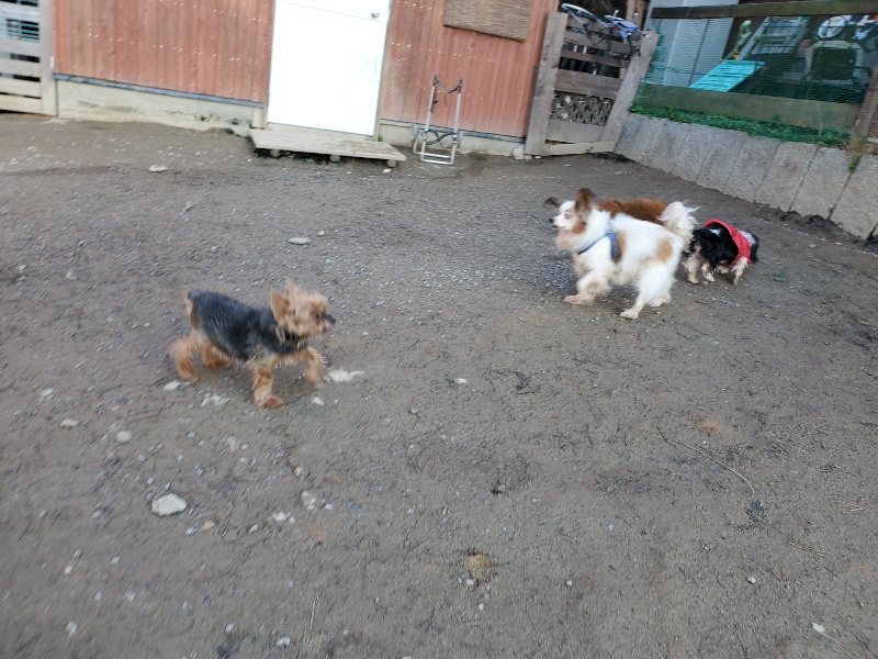 f:id:roukenhome-ann:20200112045243j:plain f:id:roukenhome-ann:20200112045243j:plain