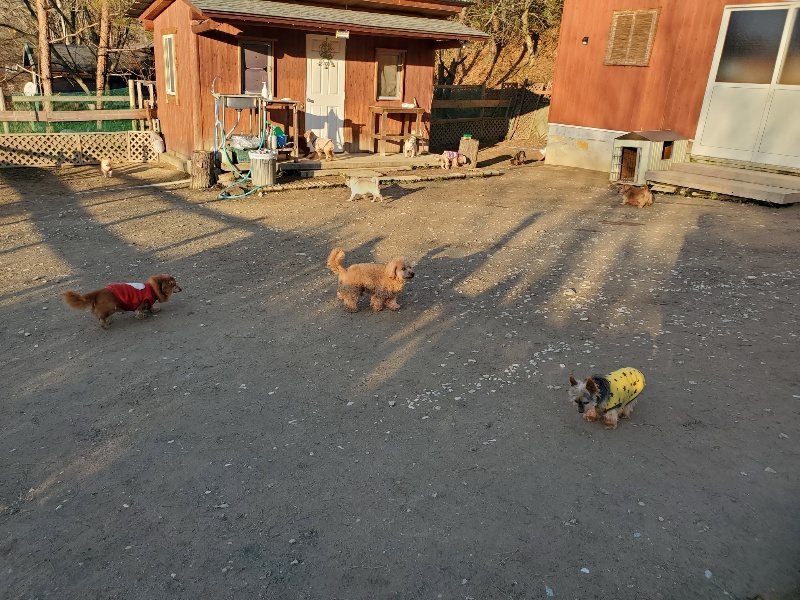f:id:roukenhome-ann:20200112045357j:plain f:id:roukenhome-ann:20200112045357j:plain