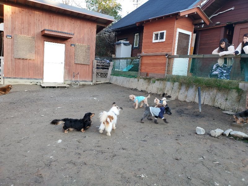 f:id:roukenhome-ann:20200112045428j:plain f:id:roukenhome-ann:20200112045428j:plain