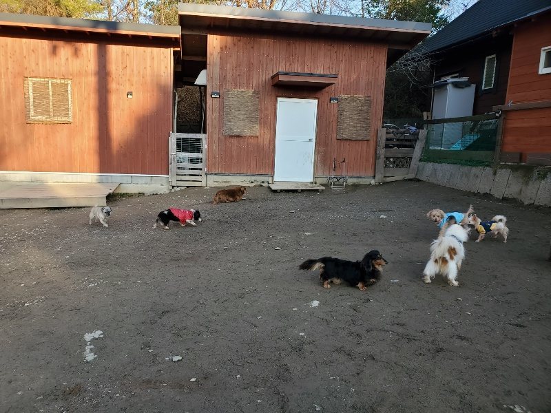 f:id:roukenhome-ann:20200112045434j:plain f:id:roukenhome-ann:20200112045434j:plain