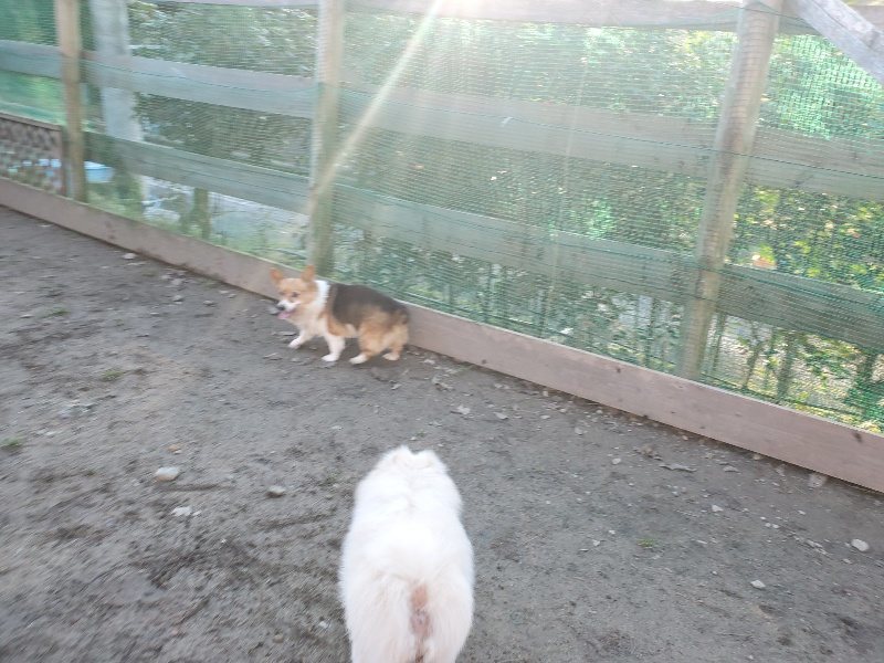 f:id:roukenhome-ann:20200112045501j:plain f:id:roukenhome-ann:20200112045501j:plain