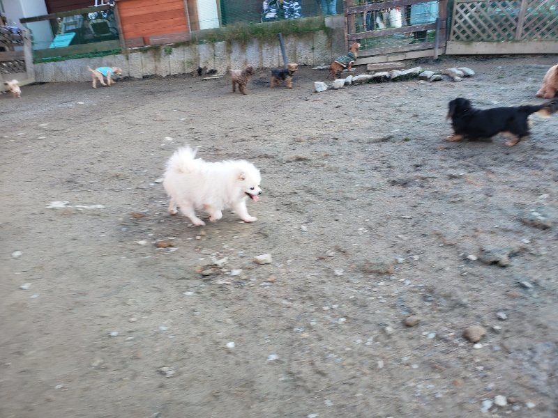 f:id:roukenhome-ann:20200112045508j:plain f:id:roukenhome-ann:20200112045508j:plain