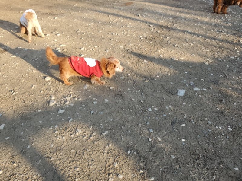 f:id:roukenhome-ann:20200112050022j:plain f:id:roukenhome-ann:20200112050022j:plain