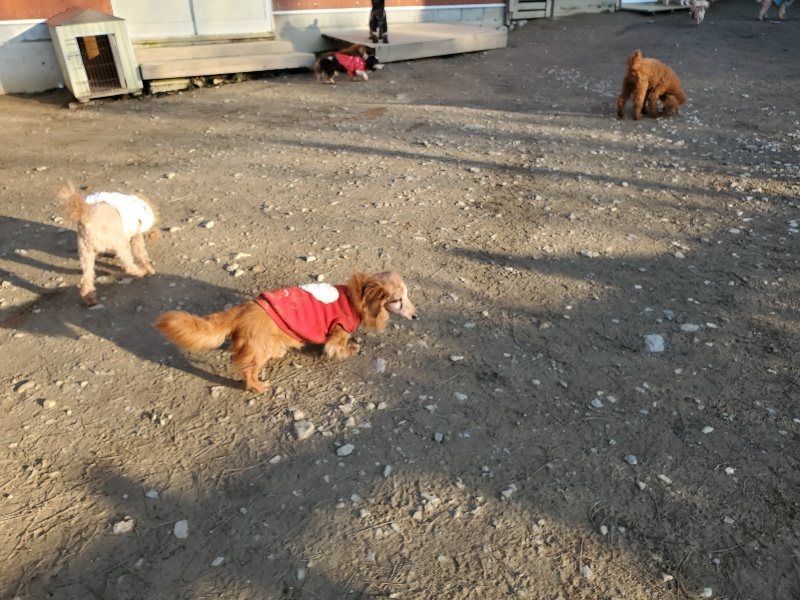 f:id:roukenhome-ann:20200112050028j:plain f:id:roukenhome-ann:20200112050028j:plain