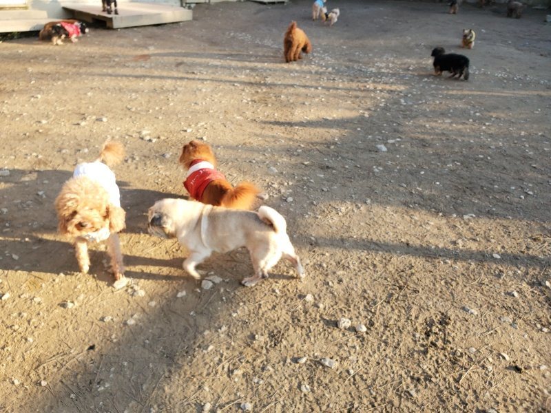 f:id:roukenhome-ann:20200112050033j:plain f:id:roukenhome-ann:20200112050033j:plain