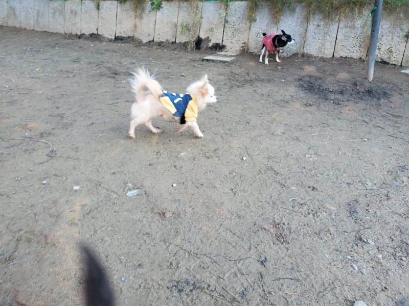 f:id:roukenhome-ann:20200112050745j:plain f:id:roukenhome-ann:20200112050745j:plain