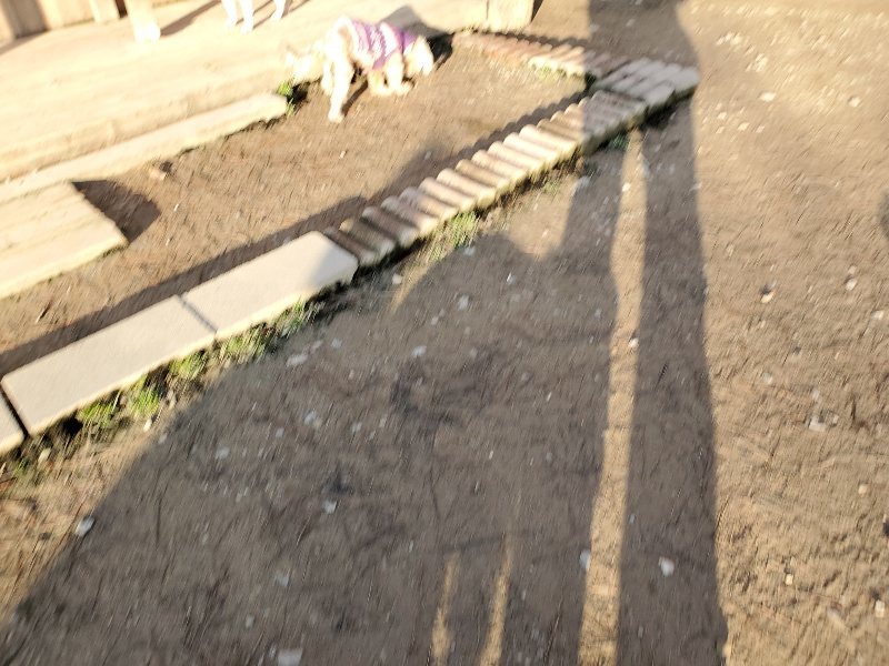 f:id:roukenhome-ann:20200112050831j:plain f:id:roukenhome-ann:20200112050831j:plain