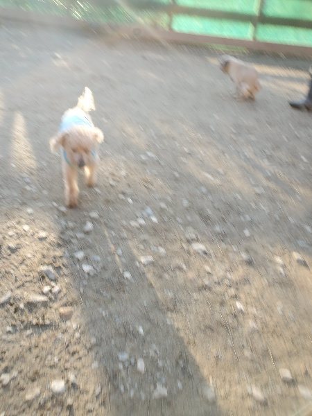 f:id:roukenhome-ann:20200112050933j:plain f:id:roukenhome-ann:20200112050933j:plain