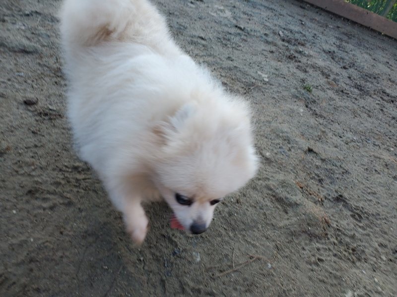 f:id:roukenhome-ann:20200112051400j:plain f:id:roukenhome-ann:20200112051400j:plain