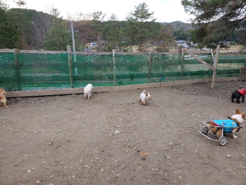 f:id:roukenhome-ann:20200114071212j:plain