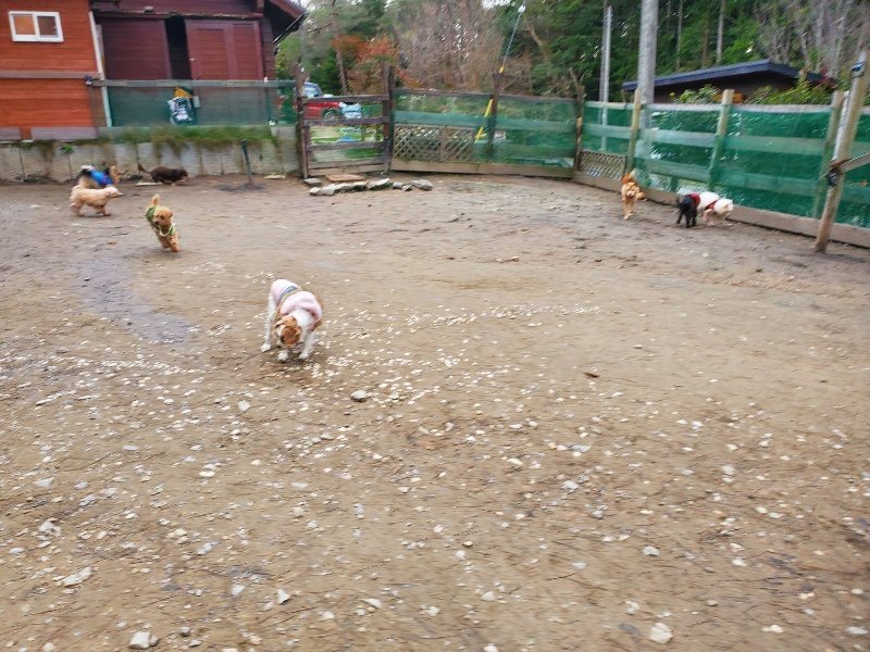 f:id:roukenhome-ann:20200114073538j:plain