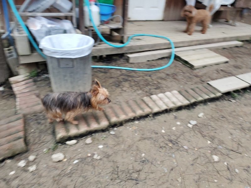 f:id:roukenhome-ann:20200114075614j:plain