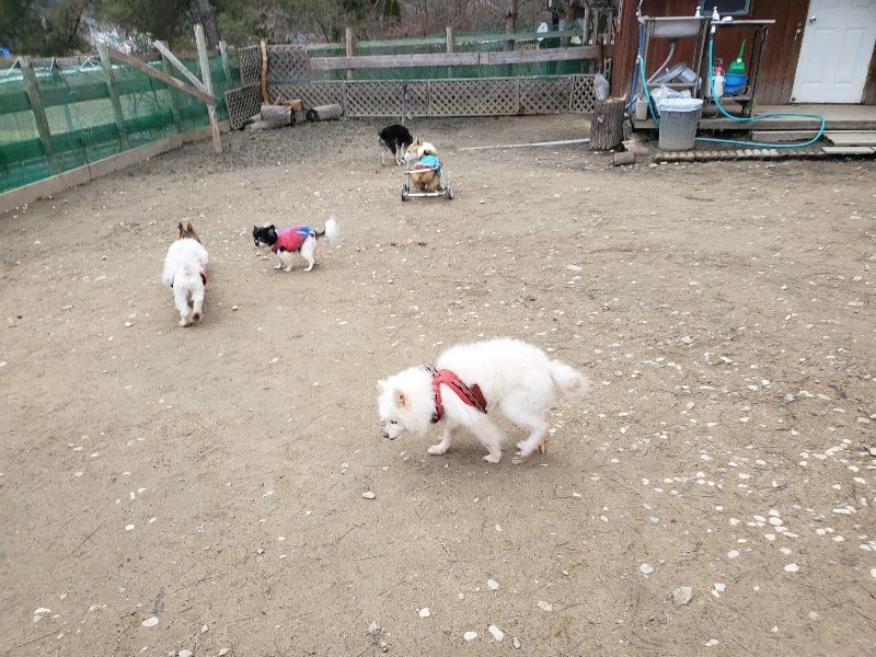 f:id:roukenhome-ann:20200114080352j:plain