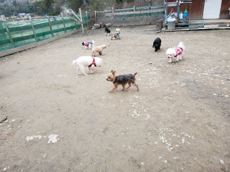 f:id:roukenhome-ann:20200114080444j:plain