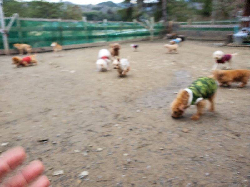 f:id:roukenhome-ann:20200114080912j:plain