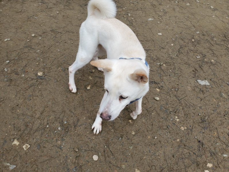 f:id:roukenhome-ann:20200115200843j:plain f:id:roukenhome-ann:20200115200843j:plain