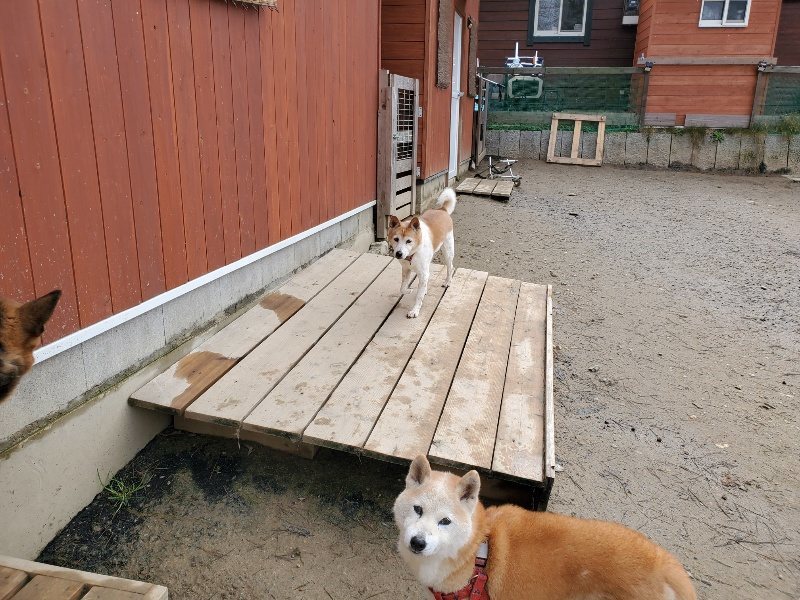 f:id:roukenhome-ann:20200115201048j:plain f:id:roukenhome-ann:20200115201048j:plain