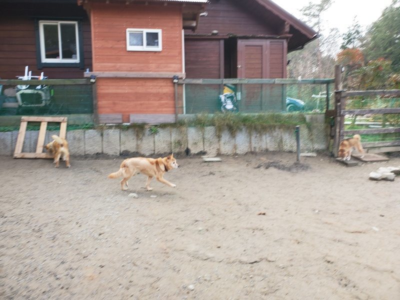 f:id:roukenhome-ann:20200115204833j:plain f:id:roukenhome-ann:20200115204833j:plain