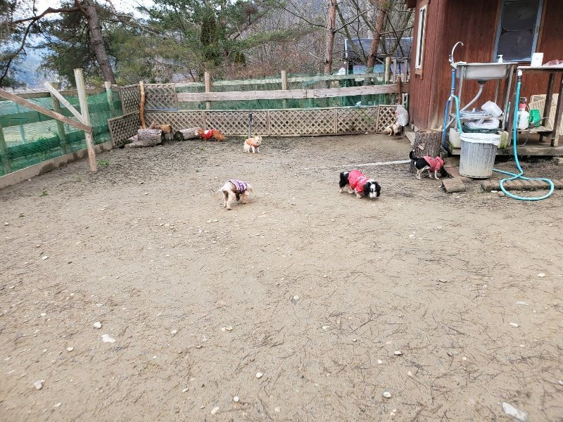 f:id:roukenhome-ann:20200115205508j:plain f:id:roukenhome-ann:20200115205508j:plain