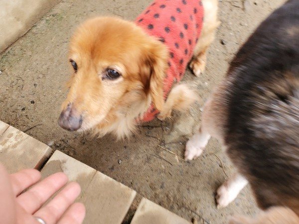 f:id:roukenhome-ann:20200115212954j:plain f:id:roukenhome-ann:20200115212954j:plain